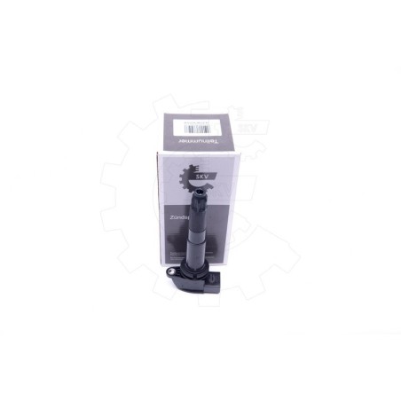 Bobine d'Allumage Pour Porsche Cayenne 94860210420 94860210421