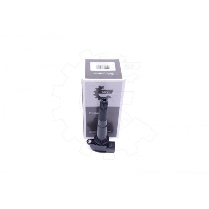 Bobine d'Allumage Pour Porsche Cayenne 94860210420 94860210421