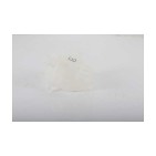 Vase Liquide de Refroidissement Pour Peugeot Opel Fiat 500 Ford 1306F8 1304025