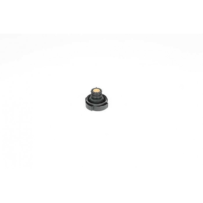 Bouchon Réservoir Liquide de Refroidissement Pour BMW E39 E60 E61 6 E63 E64
