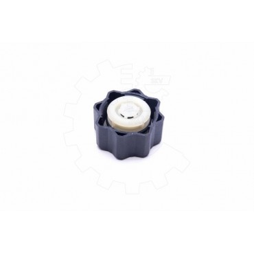 Bouchon Réservoir Liquide de Refroidissement Pour Peugeot Fiat Toyota Citroën