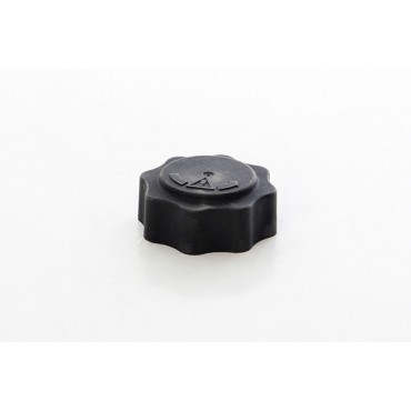Bouchon Réservoir Liquide de Refroidissement Pour Mini Mini 17107515499