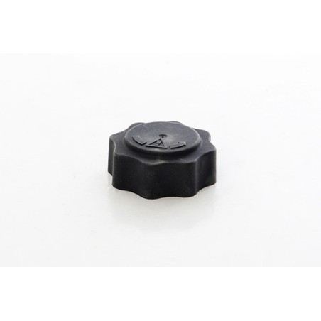 Bouchon Réservoir Liquide de Refroidissement Pour Mini Mini 17107515499