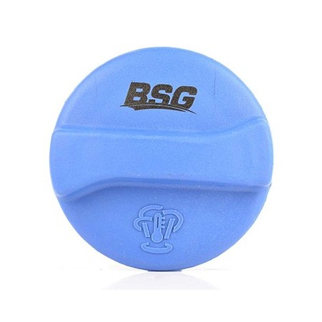 Bouchon Réservoir Liquide de Refroidissement Pour VW Jetta Passat Polo Seat