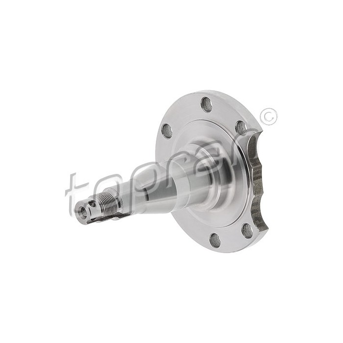 Fusée d'Essieu Arrière Pour Audi 80 90 100 A4 A6 Seat Inca