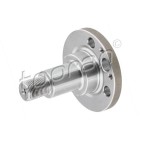 Fusée d'Essieu Arrière Pour VW Audi Seat Skoda 6Q0501117 6Q0501117A 6R0501117