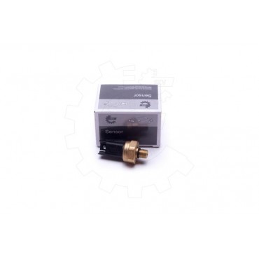 Capteur de Pression Carburant Pour BMW 7 F01, F02, F03, F04 X5 E70 13537547883