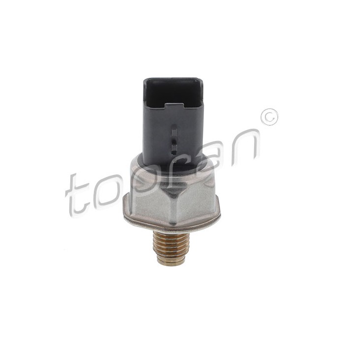 Capteur de Pression Carburant Pour Peugeot Fiat Citroën DS 1606643580 1920TL