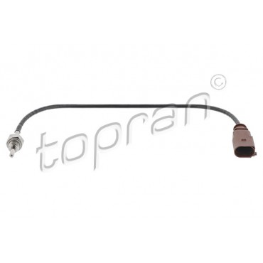 Capteur Température de Gaz d'échappement Pour VW Beetle Golf VII Jetta IV Audi