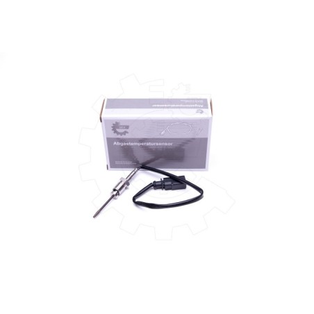 Capteur Température de Gaz d'échappement Pour Audi A4 A5 A6 Q5 Seat Exeo