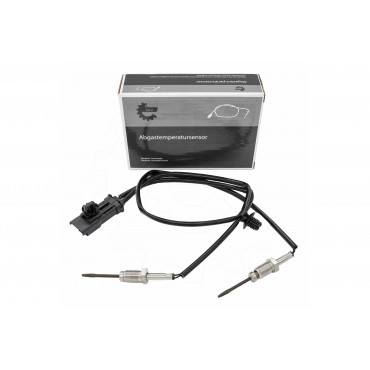Capteur Température de Gaz d'échappement Pour Peugeot Opel Citroën DS 3649037