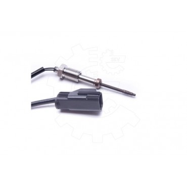 Capteur Température de Gaz d'échappement Pour Peugeot Ford Citroën Ford USA