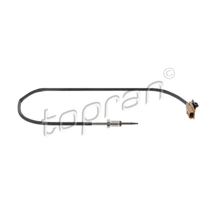 Capteur Température de Gaz d'échappement Pour Renault Kadjar Kangoo Megane