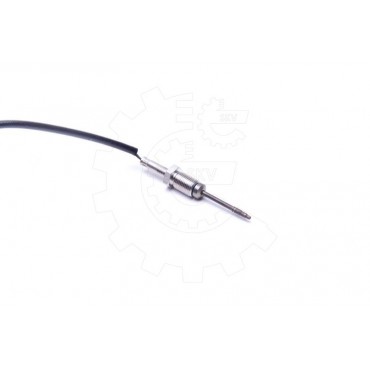 Capteur Température de Gaz d'échappement Pour Renault Clio II Grand Scénic