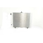 Condenseur de Climatisation Pour Peugeot Renault Citroën C2 DS 96530359 6455HA