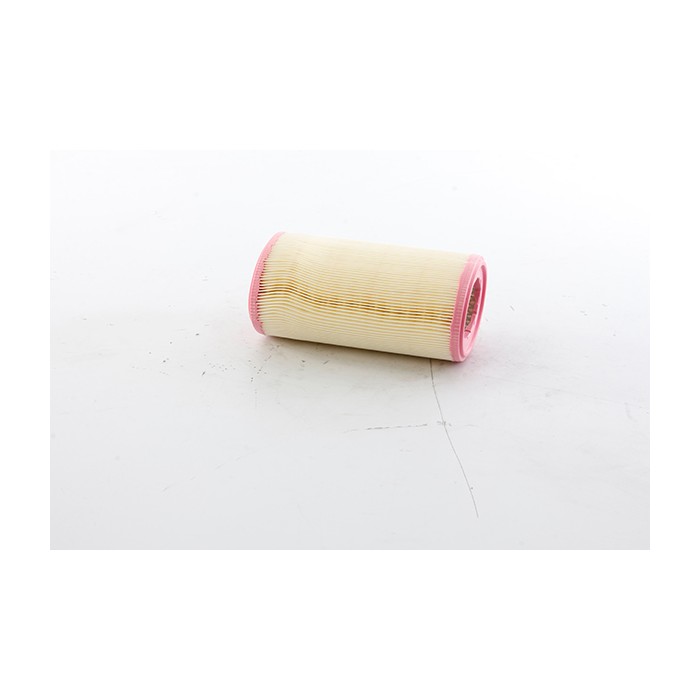 Filtre à Air Pour Peugeot 106 Nissan Citroën Rover 1444A6 165466F900 GFE2264
