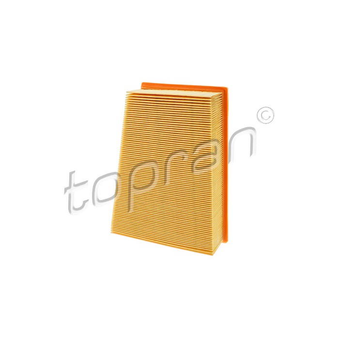 Filtre à Air Pour Renault Grand Scénic II Megane 8200166615 8200371661