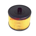 Filtre à Carburant Pour Peugeot Fiat Ford Citroën 190689 9401906898 1318563
