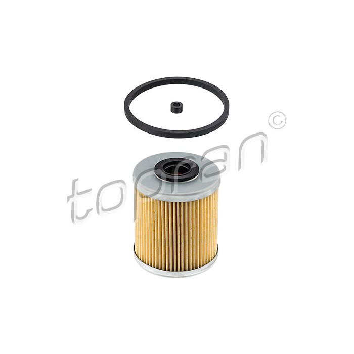 Filtre à Carburant Pour Renault Opel Nissan Vauxhall 164039587R 4412830 4421864