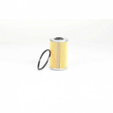 Filtre à Carburant Pour Renault Opel Nissan Vauxhall 164038513R 4411637 4421660