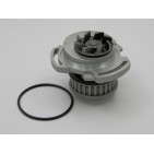 Pompe à Eau Pour Peugeot VW Audi 50 80 Fiat Ducato Scudo 052121005AX 052121019
