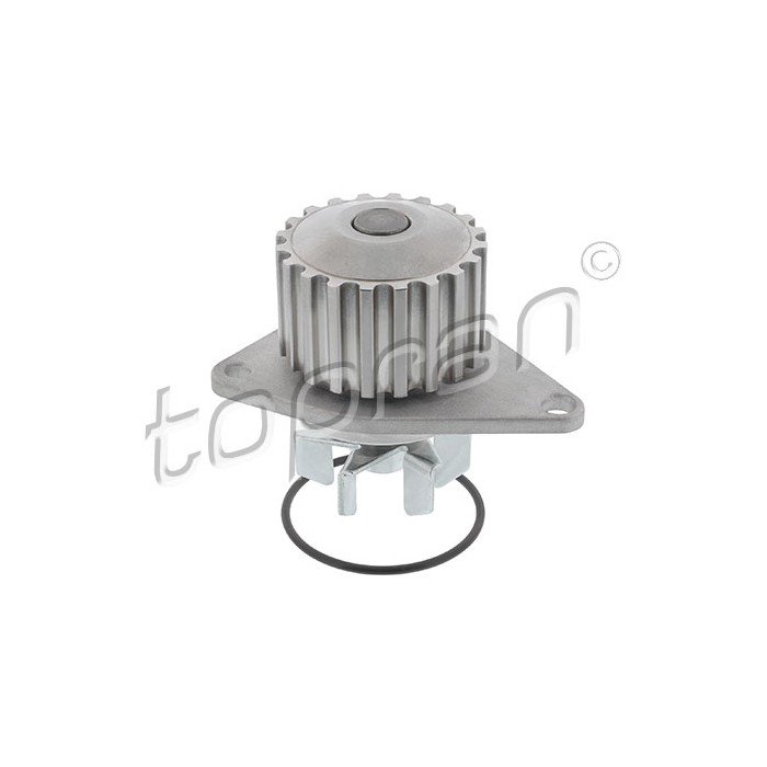 Pompe à Eau Pour Peugeot 106 205 206 306 307 Partner Citroën AX Berlingo Saxo