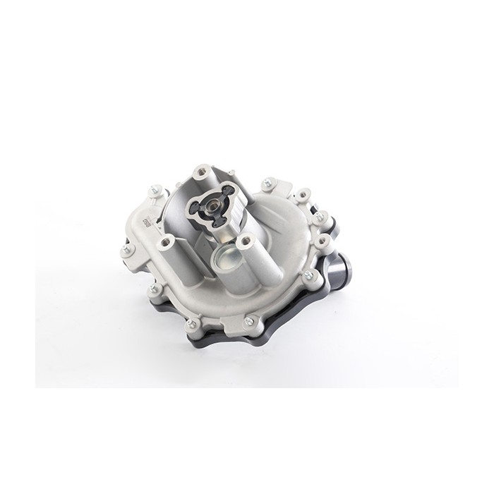 Pompe à Eau Pour Peugeot Fiat Ford Citroën 1201H6 9659248280 6C1Q8K500AG