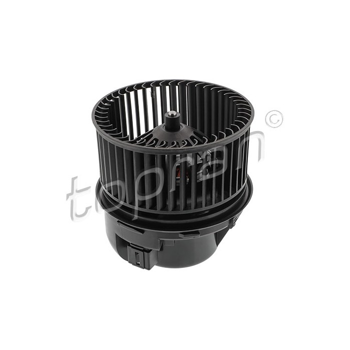 Pulseur d'Air Habitacle Pour Ford C-Max II Focus III Kuga Tourneo 1696010