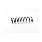 Ressort de Suspension Arrière Pour BMW Série 5 E60 33536761217 33536761218