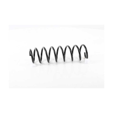Ressort de Suspension Arrière Pour BMW Série 5 E60 33536761217 33536761218