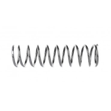 Ressort de Suspension Arrière Pour Ford Escort V Orion III 1666283 1668166