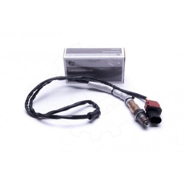 Sonde Lambda Pour VW Golf Plus V Jetta III Passat Audi A3 Seat Skoda 06F906262J