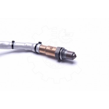 Sonde Lambda Pour VW Golf Plus V Jetta III Passat Audi A3 Seat Skoda 06F906262J