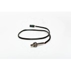 Sonde Lambda Pour BMW Série 3 E36 5 E39 7 E38 Z3 1406981 1427884 1433071