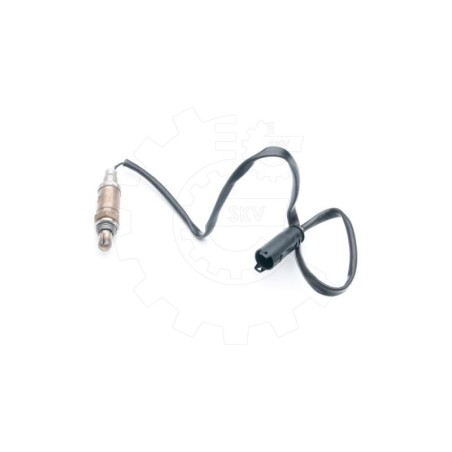 Sonde Lambda Pour BMW Série 3 E46 X5 E53 11787506531 11787506539 7506531