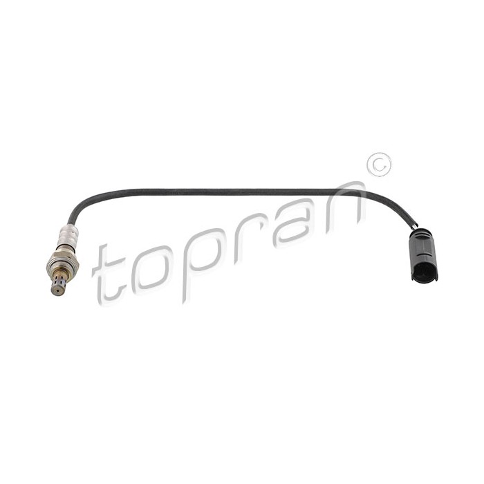 Sonde Lambda Pour BMW Série 3 E46 X5 E53 11787506539