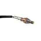 Sonde Lambda Pour VW Bora Golf IV Seat Leon Lamborghini 036906262E 036906262J