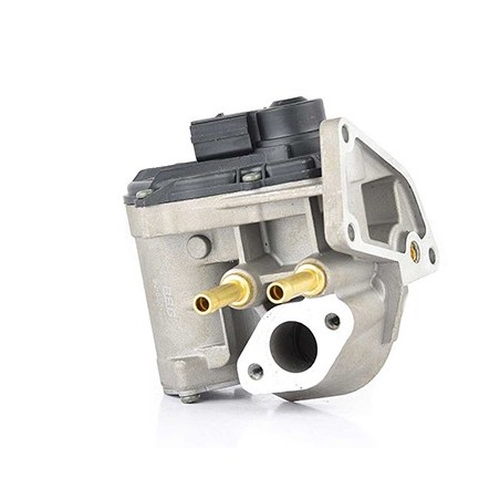 Vanne EGR Pour VW EOS Golf Plus V Jetta III Passat Polo Audi Skoda 03C131503B