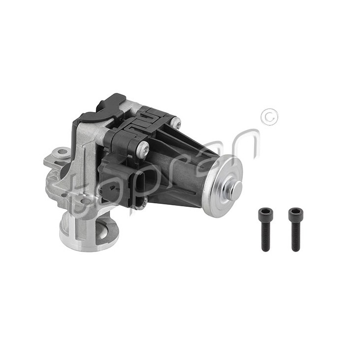Vanne EGR Pour Peugeot 206 Ford Citroën DS 1618LN 1685740 1638155380 1696587