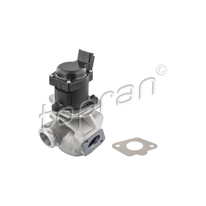 Vanne EGR Pour Peugeot Fiat Ford Citroën 161859 9660276280 5S6Q9D475AA 1618NR