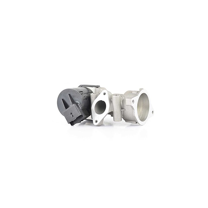 Vanne EGR Pour Peugeot Fiat Ford Citroën 71793404 1231964 9681825280 1436390