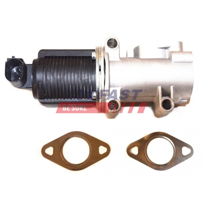 Vanne EGR Pour Peugeot Fiat Ford Citroën 46530857 1231964 46778209 1436390