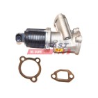 Vanne EGR Pour Opel Fiat Ford Suzuki 4434941 50024007 1710918 1811184E52000