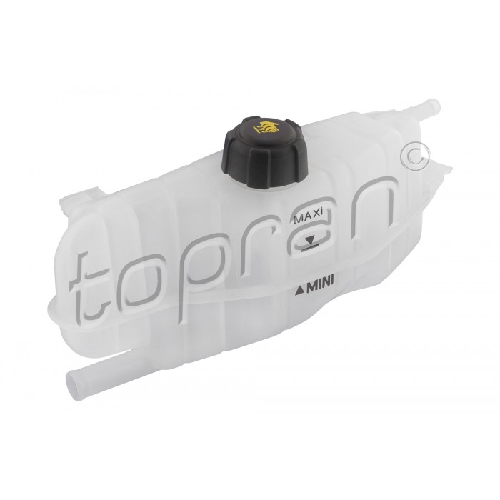 Vase d'Expansion Liquide de Refroidissement Pour Renault Clio III 7701475833