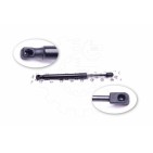 Vérin Hayon de Coffre Pour Audi A4 8E5827552C 8E5827552J 8E5827552K