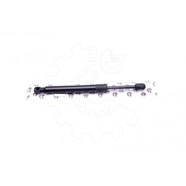 Vérin Hayon de Coffre Pour Audi A4 8E5827552C 8E5827552J 8E5827552K