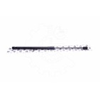 Vérin Hayon de Coffre Pour Audi A4 8E9827552B 8E9827552E