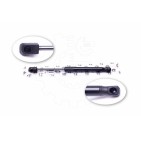 Vérin Hayon de Coffre Pour Audi A6 4B5827552D