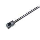 Vérin Hayon de Coffre Pour BMW X1 E84 Ford C-Max II Focus