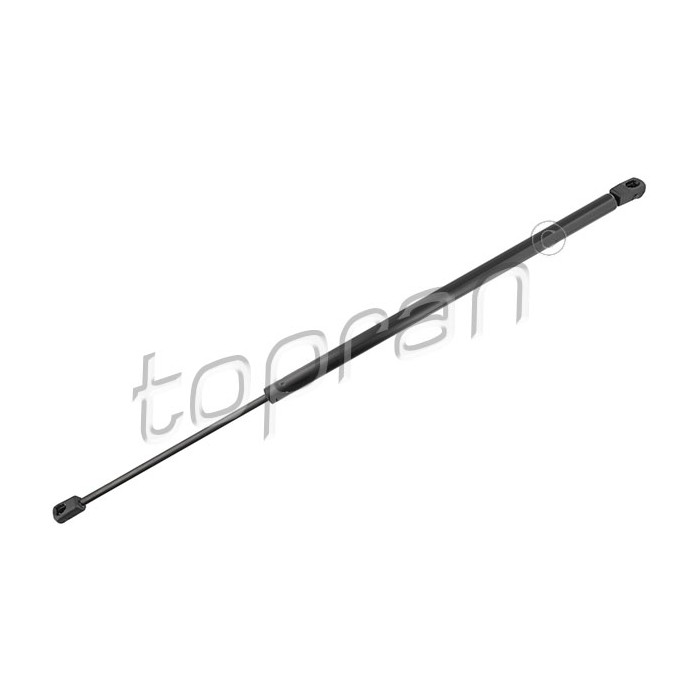 Vérin Hayon de Coffre Pour BMW X3 E83 51243400379